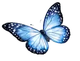 Borboleta azul