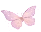 Borboleta rosa